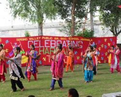 Teej Celebration